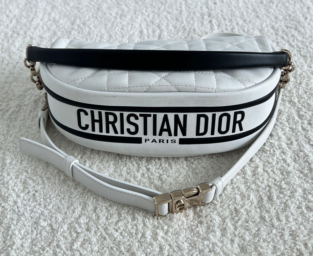 DIOR VIBE HOBO BAG