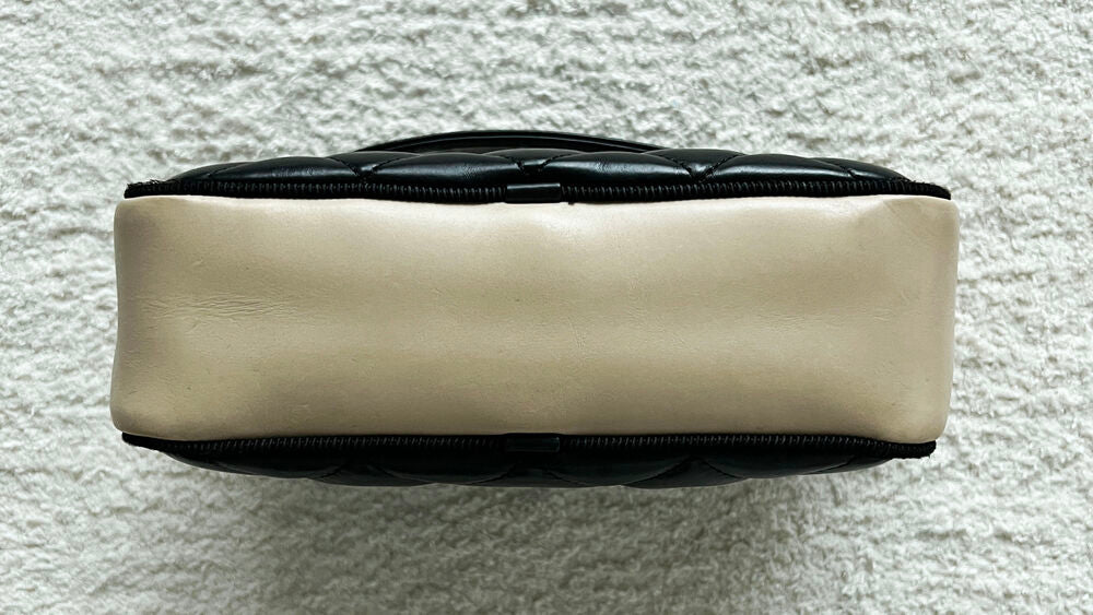 CHANEL BALLERINE CAMERA BAG